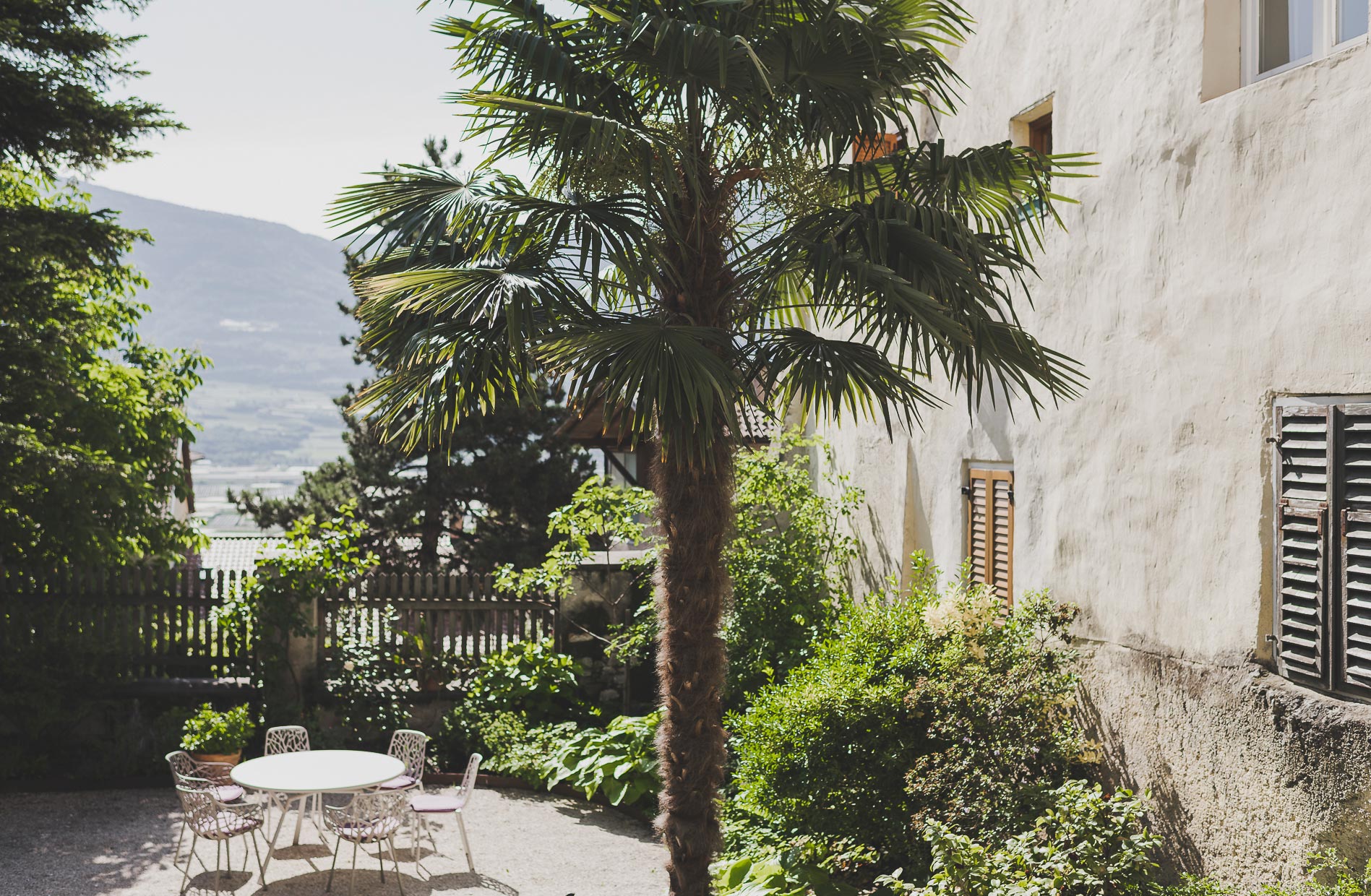 Garten des Ansitzes Rynnhof mit Palme und Sitzplatz
