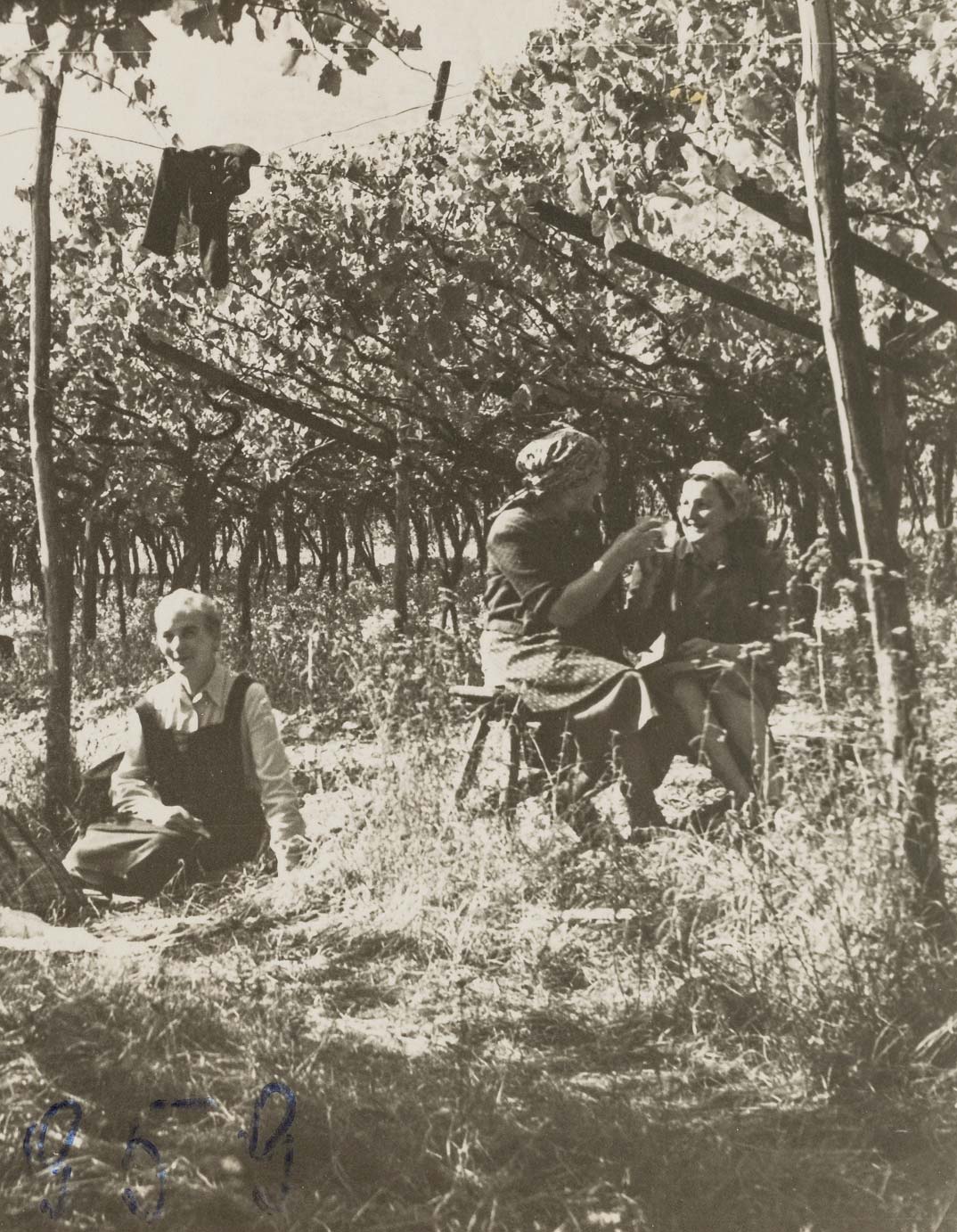 Historische Aufnahme von Menschen im Weinberg